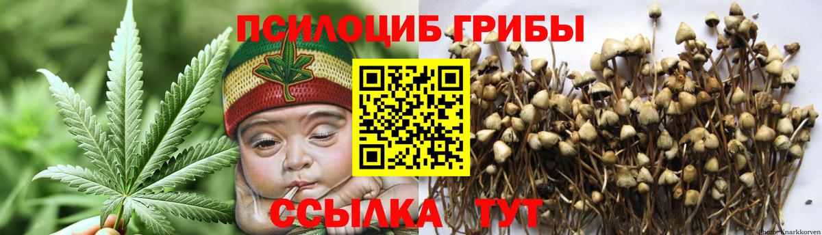 Псилоцибиновые грибы прущие грибы  Вход с VPN  Ишимбай 