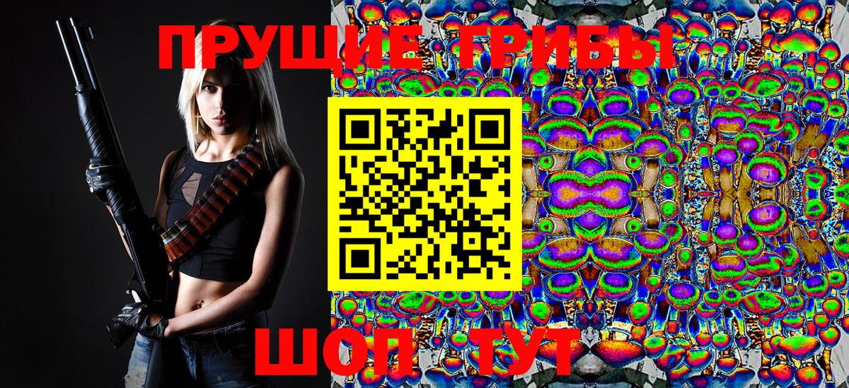 Галлюциногенные грибы Psilocybe Ишимбай